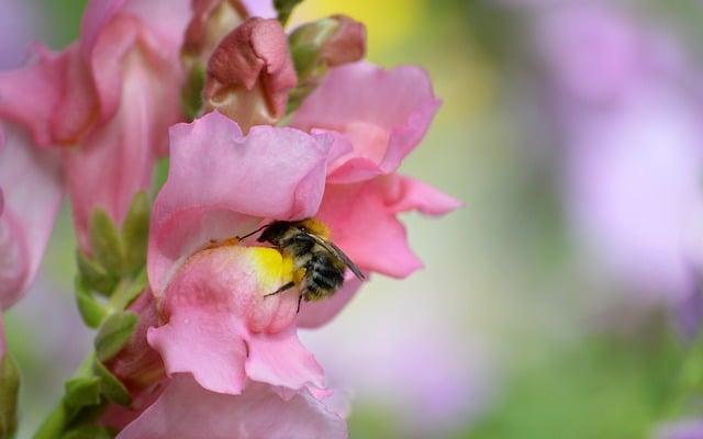 「揭開8月22日的神秘面紗：這一天的重要性與意義」