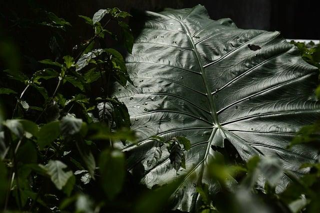 補元氣喝什麼湯？