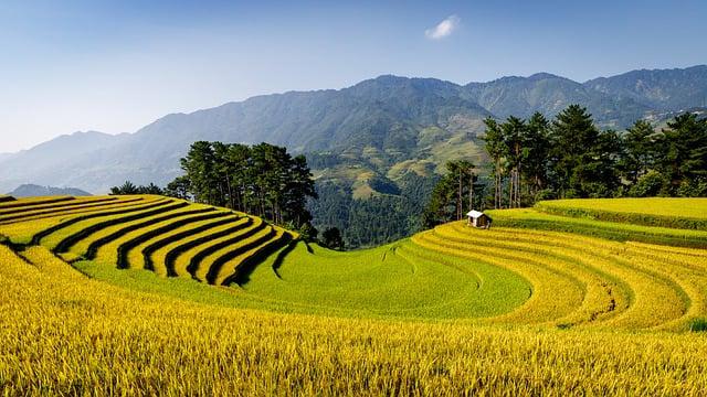 在日本日幣不夠怎麼辦？