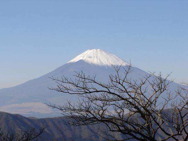 屋馬能帶狗嗎？