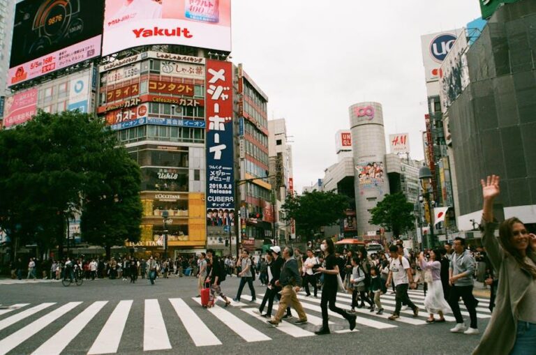 養樂多跟比菲多一樣嗎？