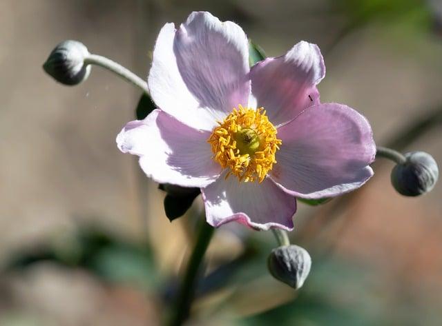 減肥可以吃韭菜水餃嗎？