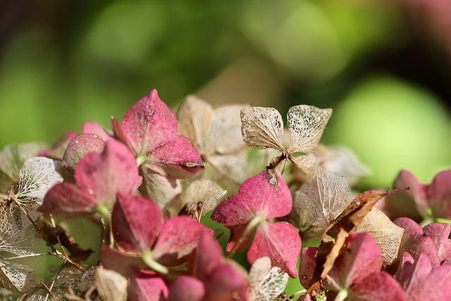 不容易入睡怎麼辦？