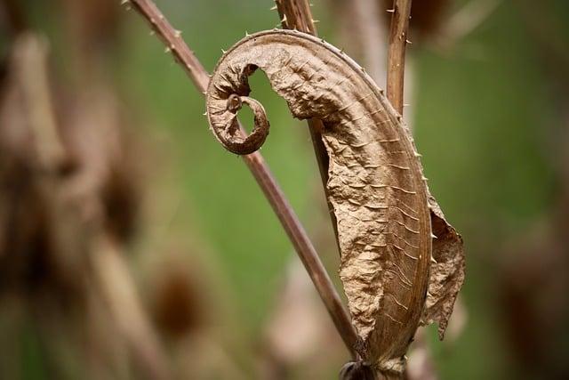 世紀會員卡怎麼辦？