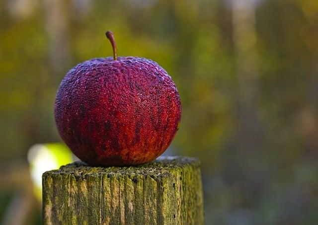 Apple Pay怎麼叫出來？